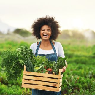 Energia Szint Növelése